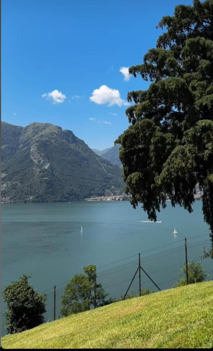 Villa Meraviglia - Villa With Breathtaking Lake Como Views Colico Exterior photo